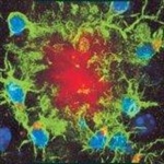 Evolutionary Dynamics:  Exploring the Equations of Life
