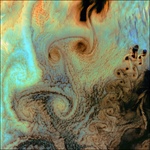 Dynamics of planar fluids: Gene Wayne in the AMS Notices and some links to resources