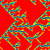 Cornell IGERT Program in Nonlinear Systems