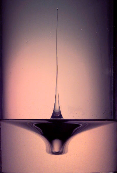 Singularity dynamics on fluid surface