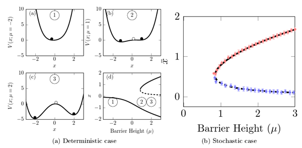 EMBER (Emergent and Macroscopic Behaviour ExtRaction)