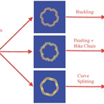Short Amphiphilic Molecules: Curve Lengthening, Defects, and the Role of Cholesterol