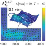 A Measure of Morphodynamics