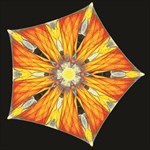 Exploring Symmetry in Chaos