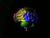 Brain Dynamics: The Mathematics of the Spike