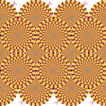 Understanding Sensory Induced Hallucinations