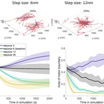 Clustering and Segregation in Intracellular Protein Interactions