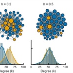 Marginalization Effects in Face-to-face Social Networks