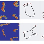 Waves in a Stochastic Cell Motility Model