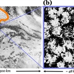 Stratocumulus Clouds and Predator-prey Dynamics