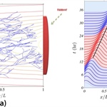 Collective Cellular Motion in Tissues