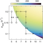 The Pancreatic Beta Cell: Biology and Mathematics Advance Together