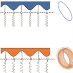 From a Point to a Torus: Unveiling Emergent Dynamics with Higher-order Bifurcations