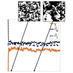 Understanding Ecological Change Through Changing Population Distribution Patterns