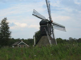 Scene at the `Weerribben', The Netherlands, near where Sebius was born.