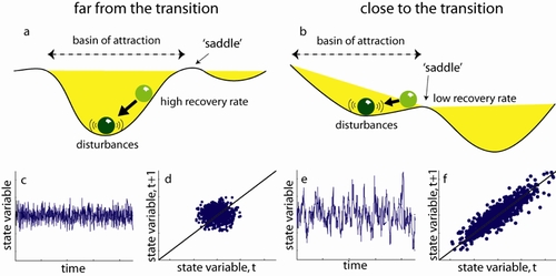Characteristic changes in the dynamics