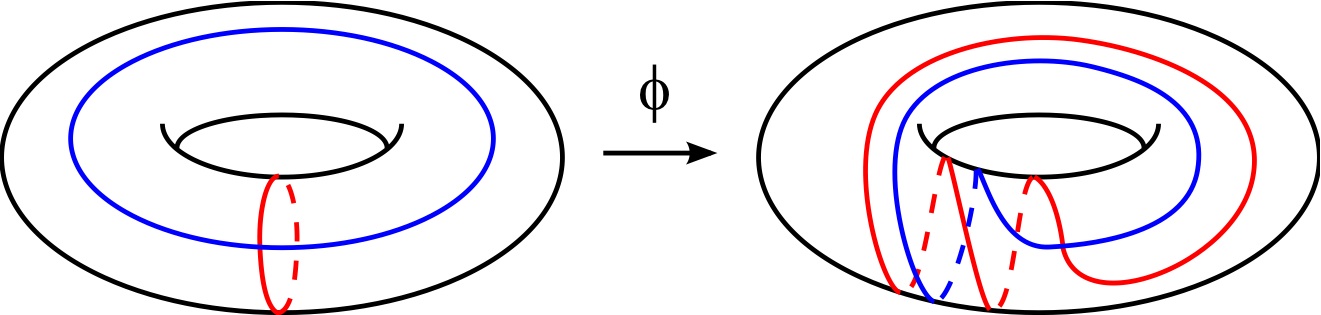 torus