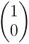 (1,0)