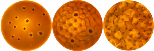 Vibrated cornstarch solution