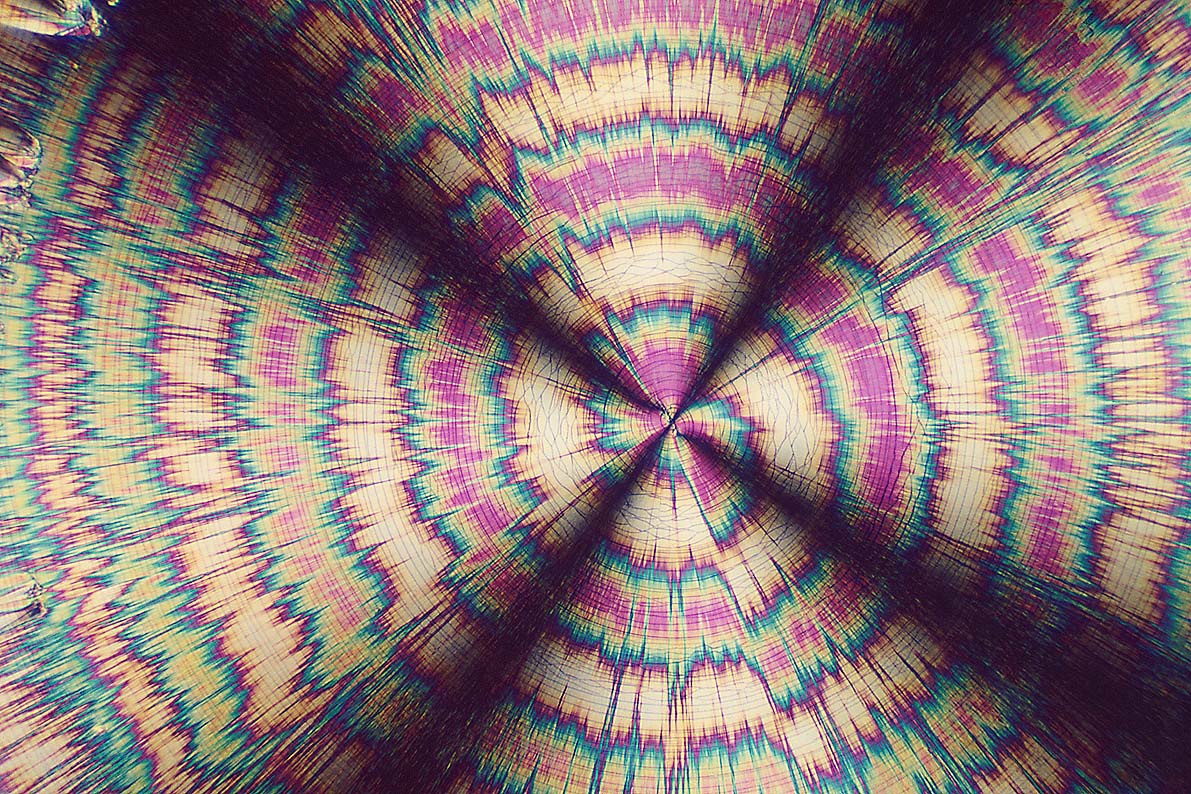 fig1