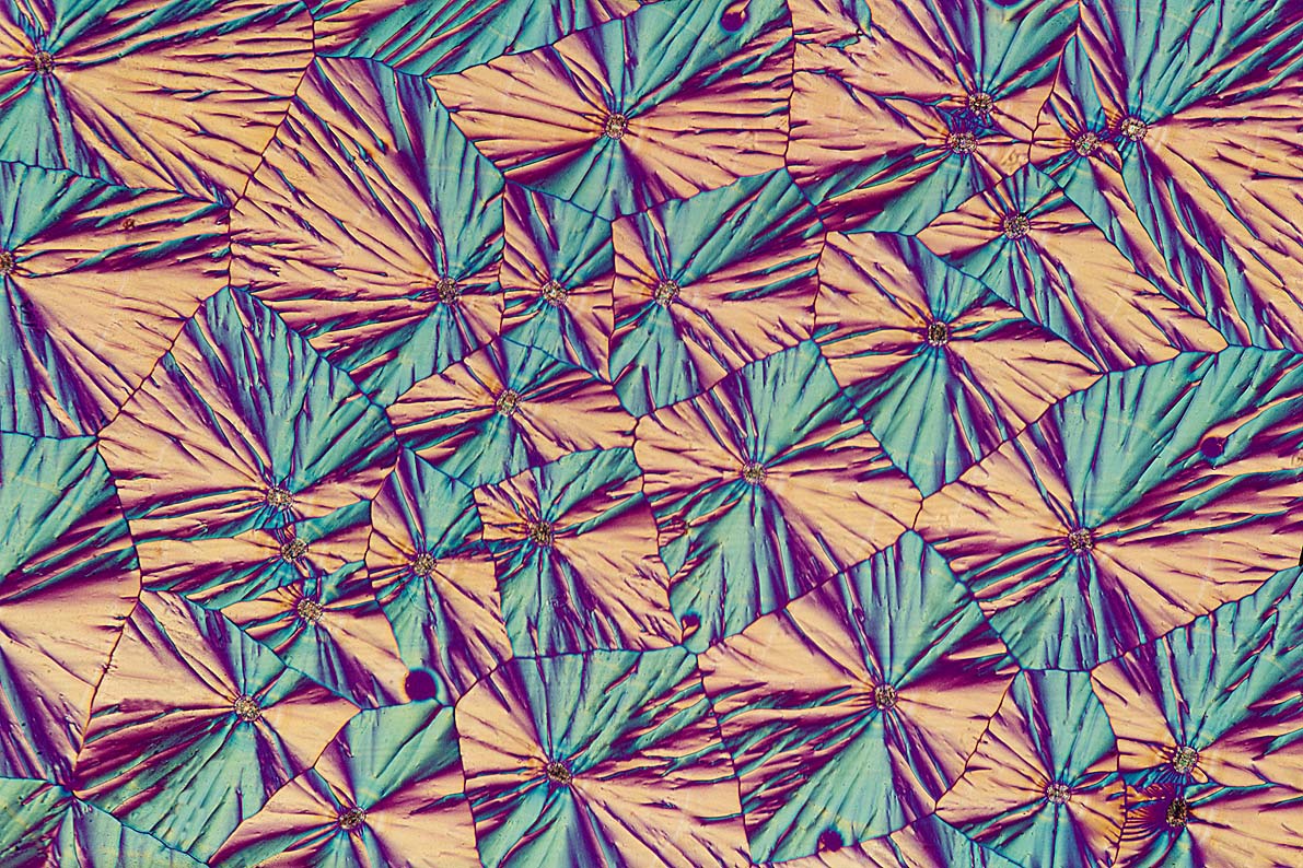 fig2