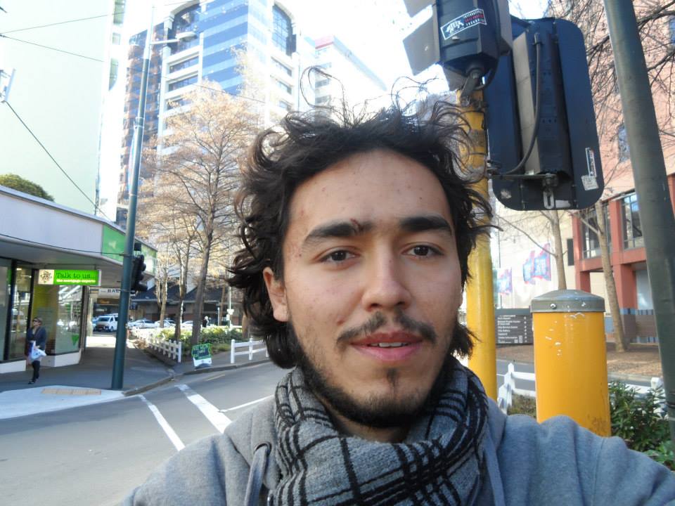 fig1