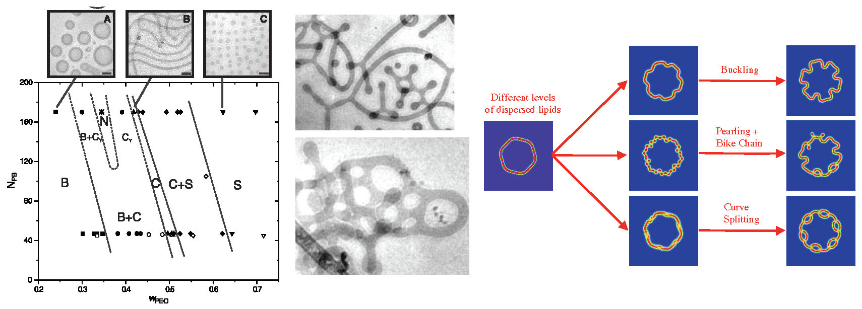 fig2