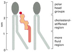 fig3