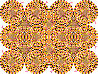 fig1