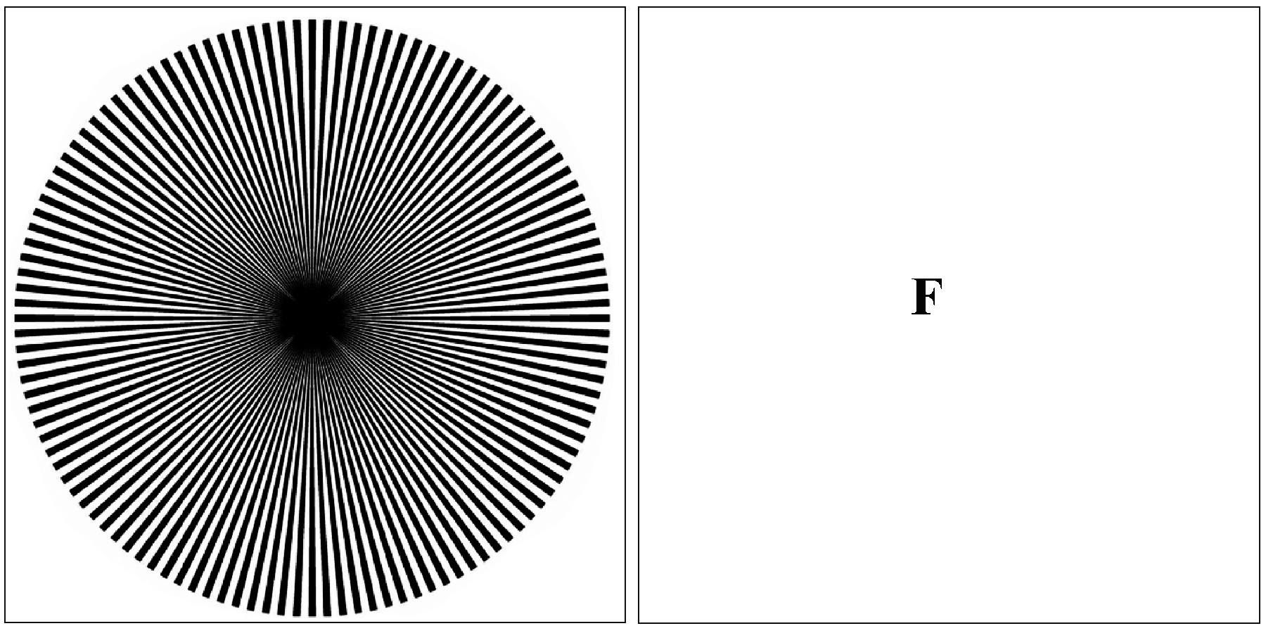 fig2
