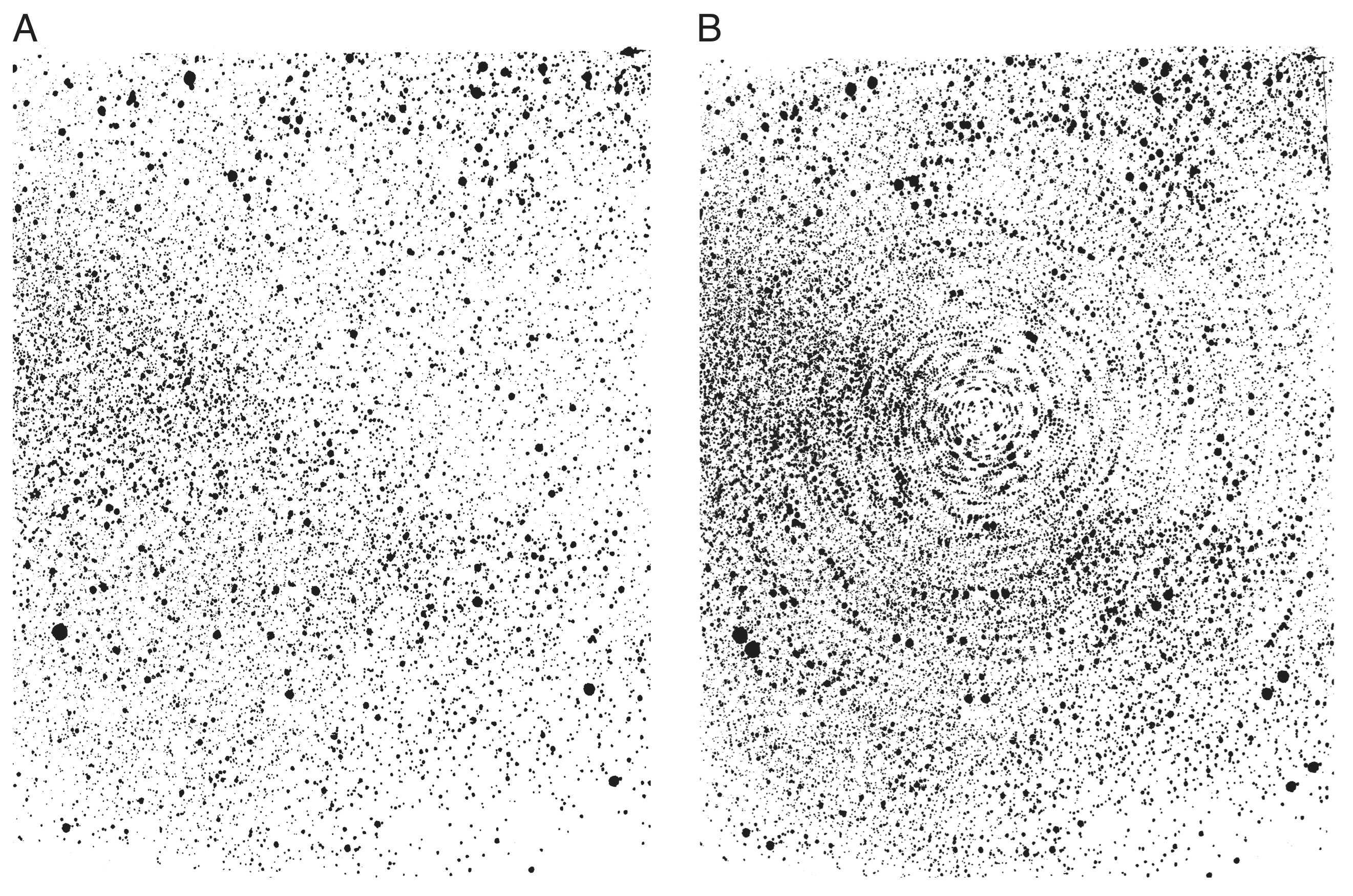 fig2