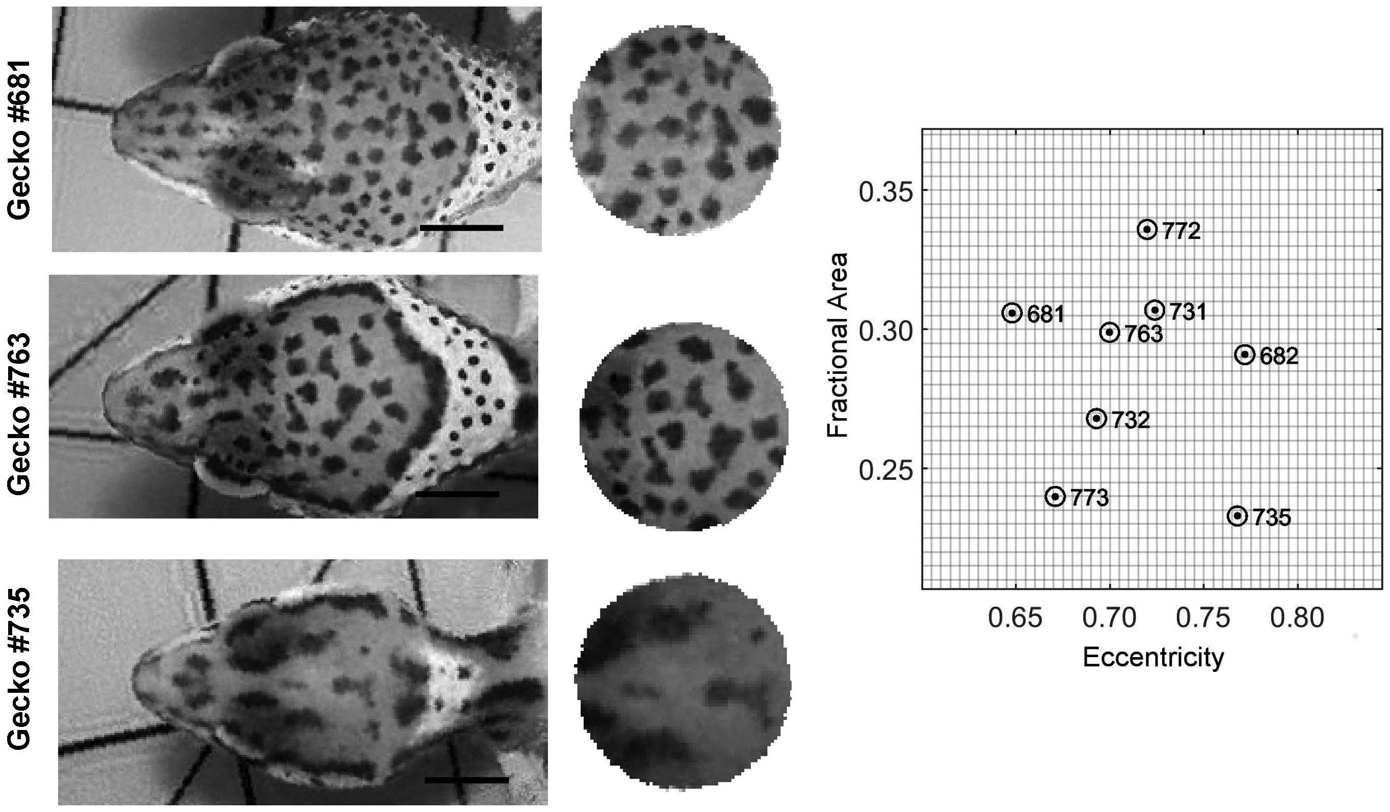 fig2