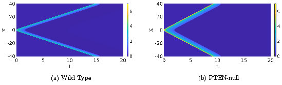 fig2