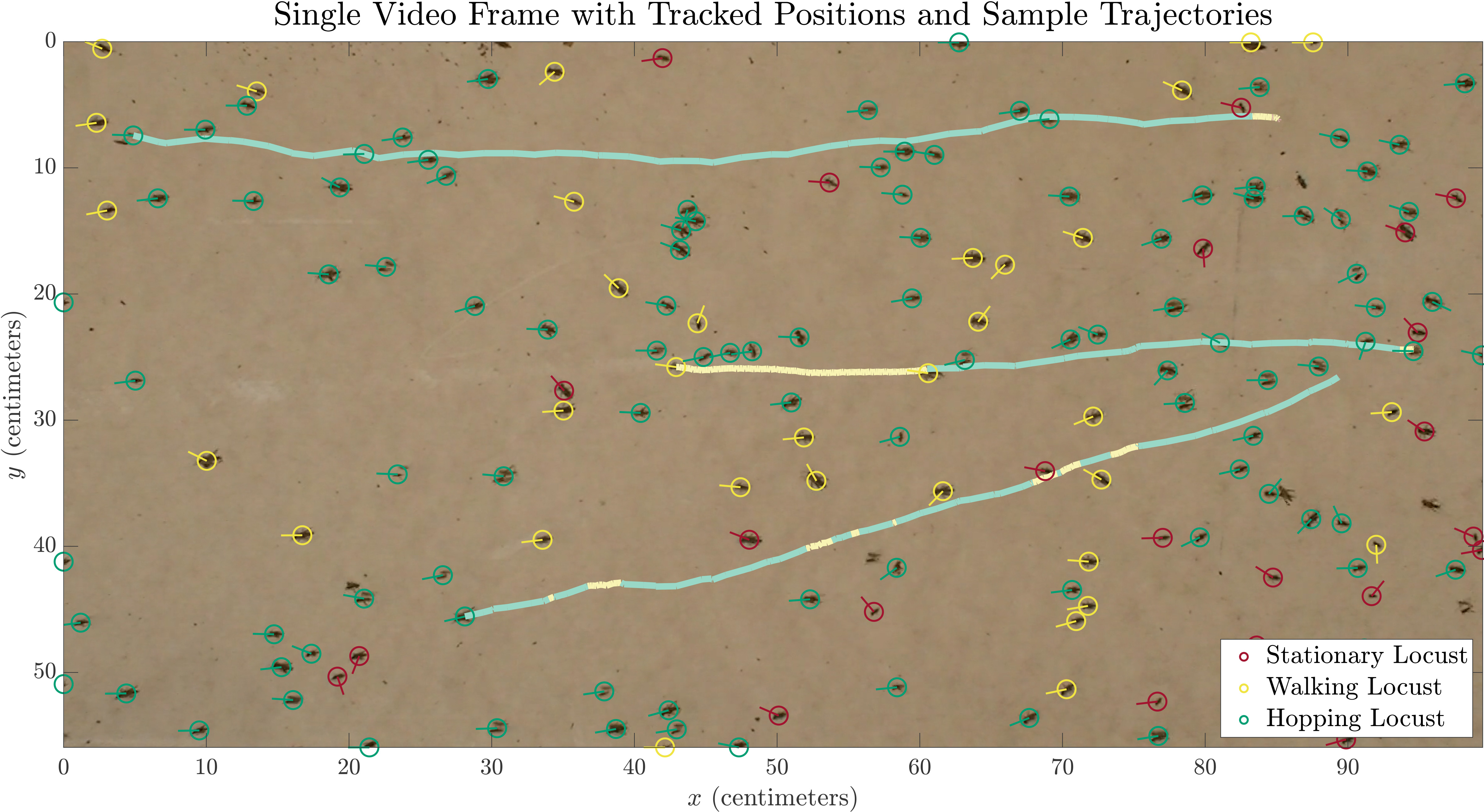 fig1a