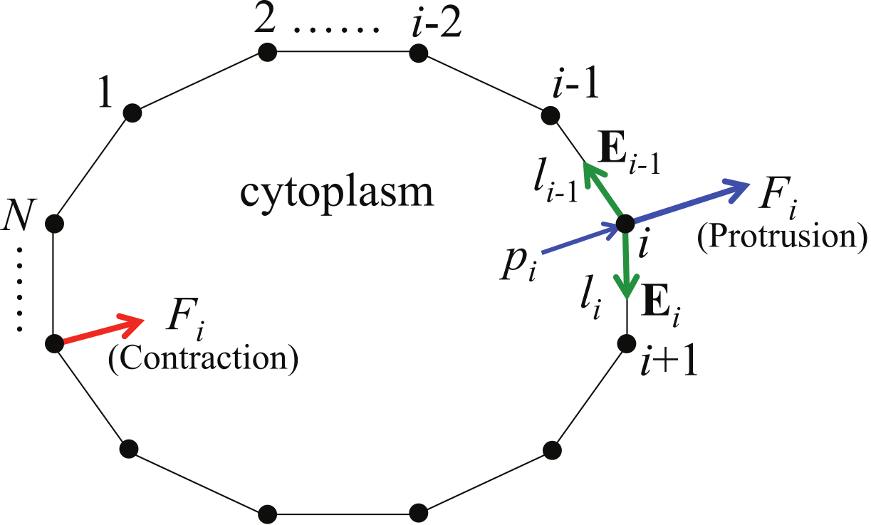 fig2