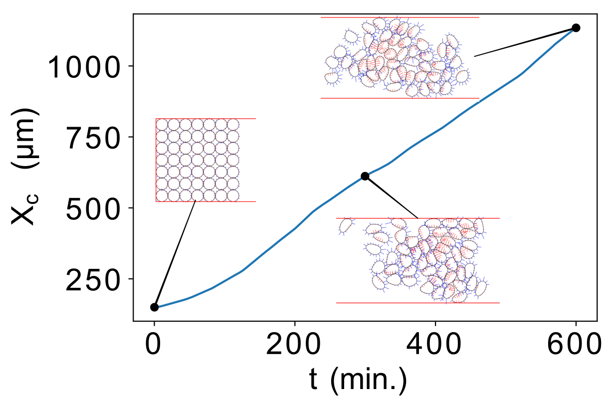 fig4